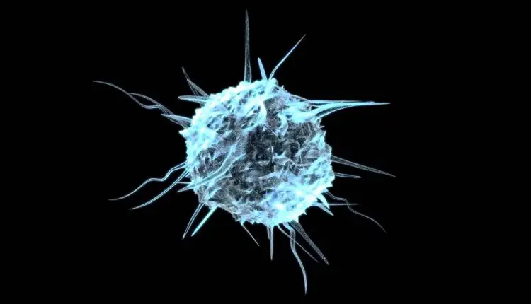 الخلايا الجذعية